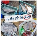 가락시장 회 포장 맛집 @ 은성수산 제철 농어와 광어 내돈내산 후기