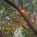 통영관광정보센터 | 통영 여행 | 통영 장사도 유람선 통영 가볼만한 곳