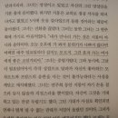 시몽 이미지
