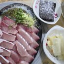 파도회집 | 안산 대방어 맛집 한대앞역 횟집 파도수산 내돈내산 후기