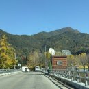 의동마을 | 거창 의동마을| 경남 은행나무 명소(24.11.7.실시간 방문)/거창여행/가을여행