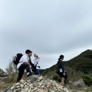 트렌드핏명지점 | 명지 헬스 트렌드핏 명지점 회원님들과 함께한 승학산 등산!