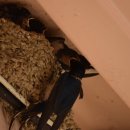 교동시장 이미지