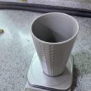 온더볼운동 | 스위치온 다이어트 3주차 후기. 식단, 운동 .. 단식하면 근손실이 안 올까?