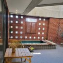 살구 스테이 이미지