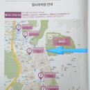 이충초등학교 | 2025평택시민건강걷기대회 참가 후기