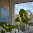 레스트44 | 강화도 펜션 레스트44