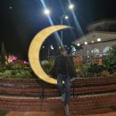 국수앤백사장회센터 | [제주도] 3일차, 해비치호텔 표선칼국수 제주허브동산 국수앤백사장회센터