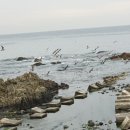 석병초등학교 이미지