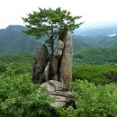 장군목장 Daum카페