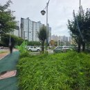 꿀벌상가 | 행신피부관리-꿀벌스킨앤바디에서 맞춤 케어 받고 온 후기