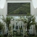 [안양 웨딩홀] 투어 끝에 선택한 더파티움 안양 7F 라포레홀, 하객들 극찬 쏟아진 본식 솔직 후기💒