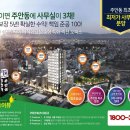 에코이뷰 이미지