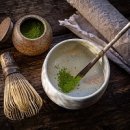 테리뉴트리