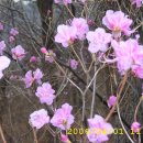 이현소류지 이미지