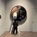 한스안경이야기 이미지