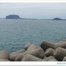 도항선 대합실 이미지