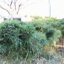 인화여자고등학교 이미지