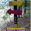 동향면사무소 이미지