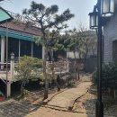 메이플트리레스토랑 | 정읍 돈가스 맛집 메이플트리 레스토랑
