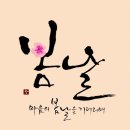 행복한밤 이미지