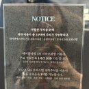 (주)와이젯 네이버블로그