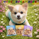 포인트독 | 강아지간식 추천 오븐베이크 더독앤캣 미트팝콘링 후기