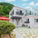 가평금잔디 이미지