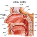 소리공간 이미지