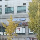 시그니아독일보청기