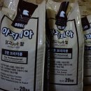 내야내야 똥강아지 이미지