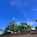 엘스빌딩 이미지