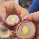 동암학교 | 기장 롯데아울렛 맛집 솥밥 동암떡갈비