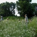 영원부원군 묘 이미지