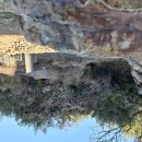 기장장관청 | 기장 옛길, 주변의 겨울나무