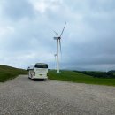 명석목장 | 보기만해도 힐링! 대관령 삼양목장 입장료 셔틀버스 이용팁