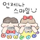 운동화 세탁날 이미지