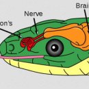 스토리(A) 이미지