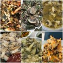 힘찬약국 | 대구 전복죽 맛집 중구 회덮밥 추천 포장 전문 동아전복