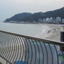 송정관광호텔(송정호텔) Daum카페