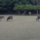 드림게스트하우스 이미지