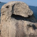 문암1리항 이미지