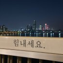 공주애견