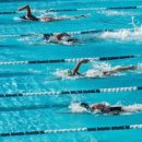 수영-301 이미지