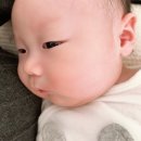 시온체육관 이미지