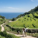 원조남해식당 | 남해 시골할매막걸리, Since 1945, 80년 전통이 담긴 원조 유자생막걸리의 깊은 맛