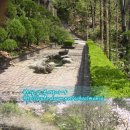 동구여자중학교 이미지