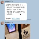 벨라펫살롱 이미지