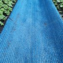 깻잎농원 이미지