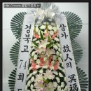 대구의료원 국화원 이미지